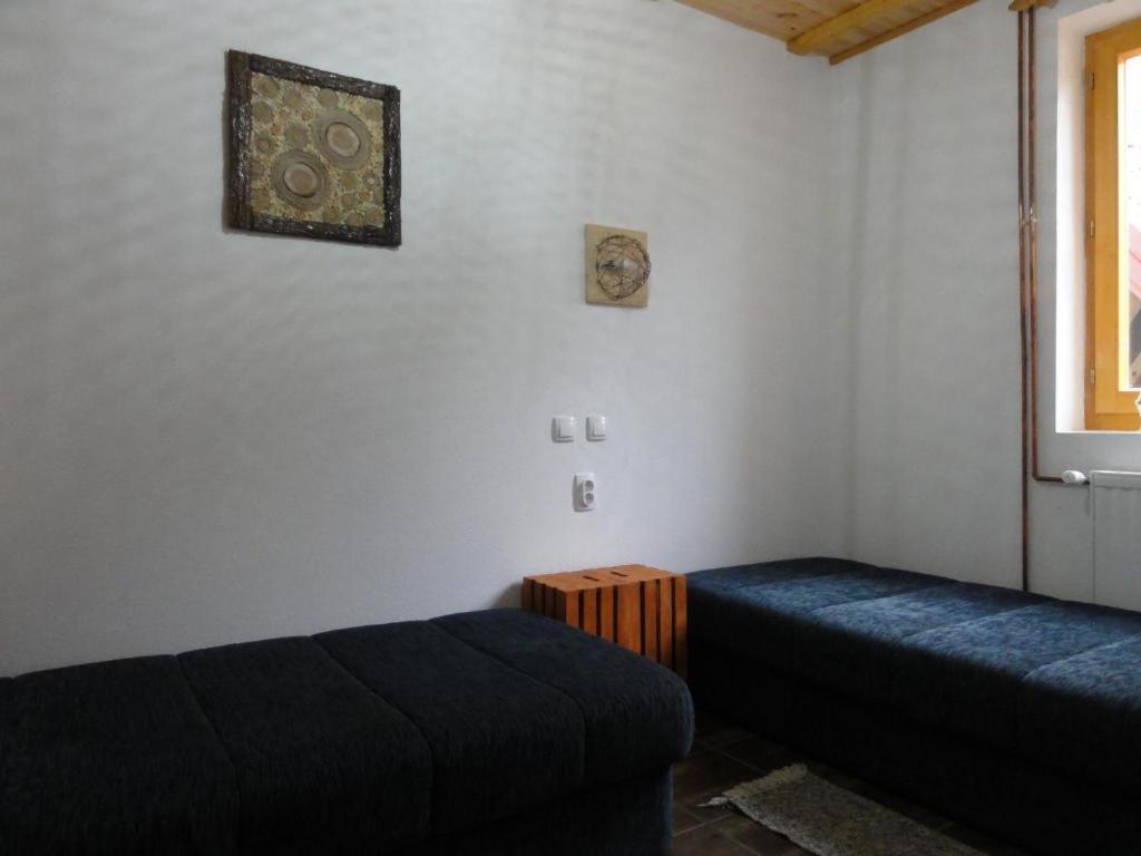 Staroplaninski Apartments Crni Vrh Extérieur photo